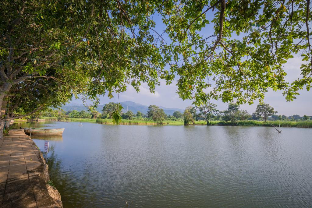 Mps Village Dambulla Exterior photo